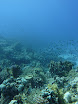 P1040154.JPG