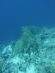 P1040176.JPG