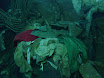 P1040359.JPG