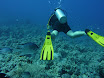 P1040426.JPG