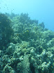 P1040445.JPG