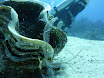 P1040458.JPG