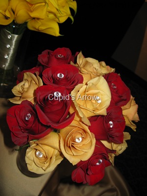[IMG_3729[3].jpg]