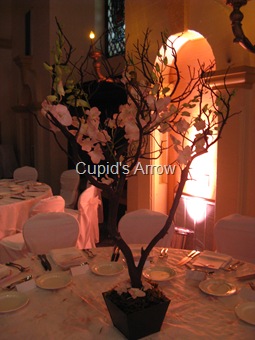 [Wedding 004[3].jpg]
