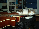 La mia gatta sa fare il barrè meglio di me... (2007)