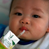 為食嵐嵐2008_07_30PaulTsoi5230500239527654002