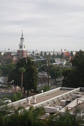 [IMG_15731.jpg]