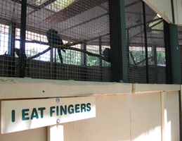 7-21-09 norman zoo 011