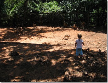 7-21-09 norman zoo 002