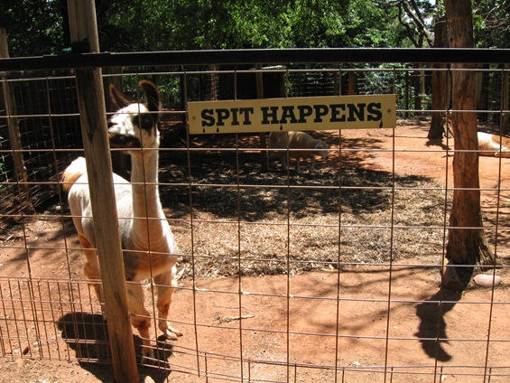 [72109normanzoo0217.jpg]