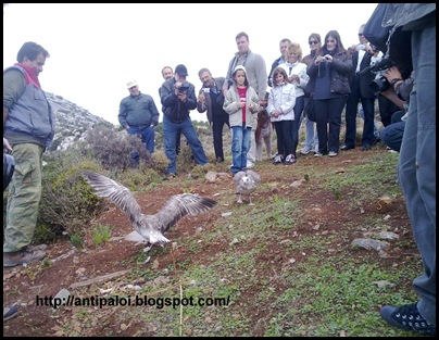 ΠΤΗΝΑ1 ΠΤΗΝΑ1
