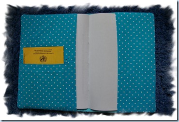 Blog 8 Blog 8