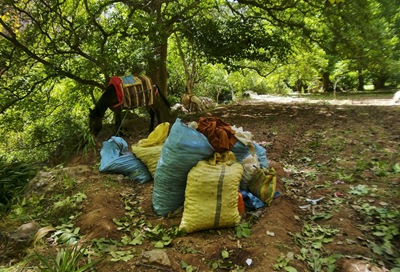 El-fruto-de-una-jornada