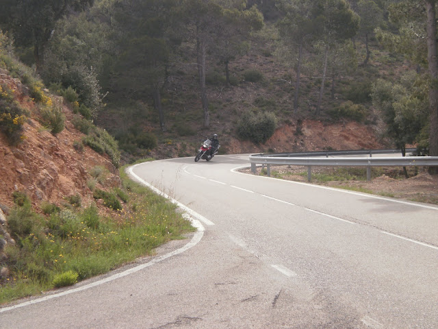 P1050221.JPG