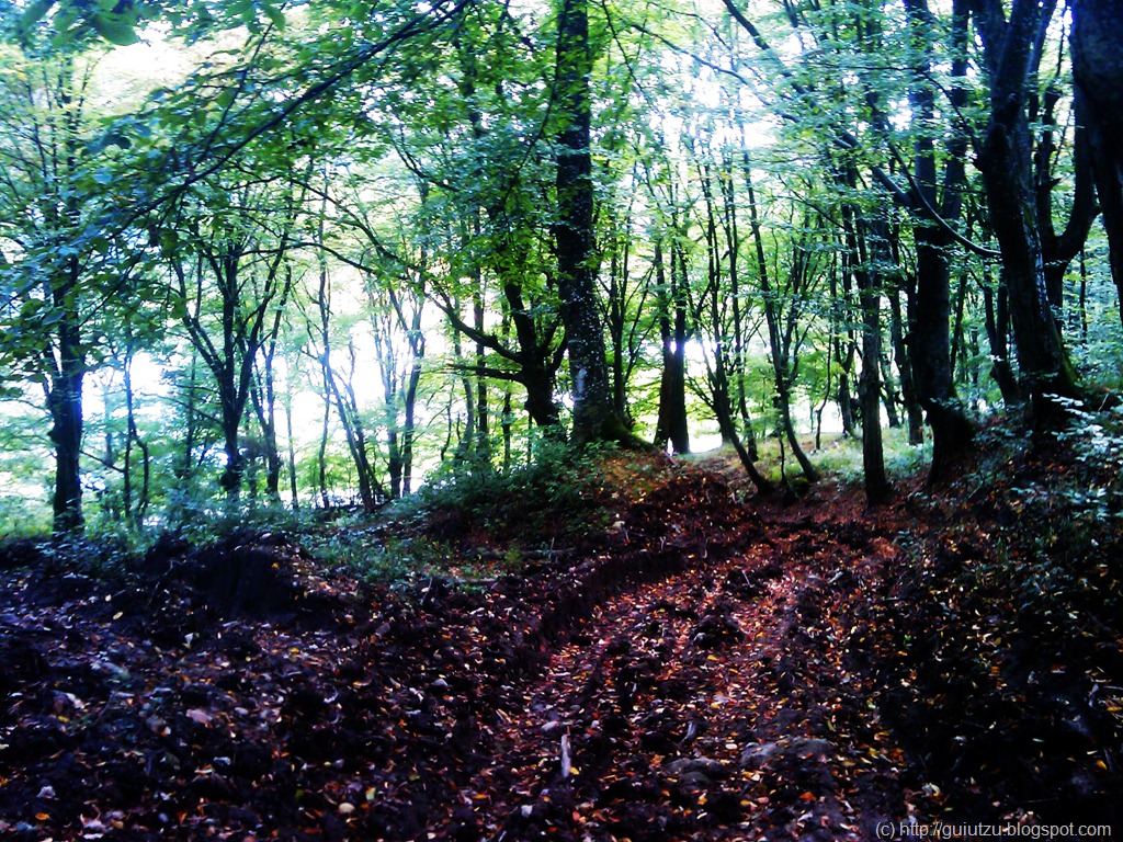 [han dezna, enduro arad[6].jpg]