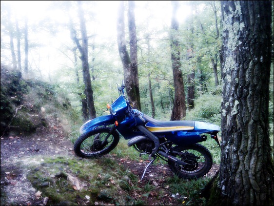 trasee enduro arad cetatea deznei