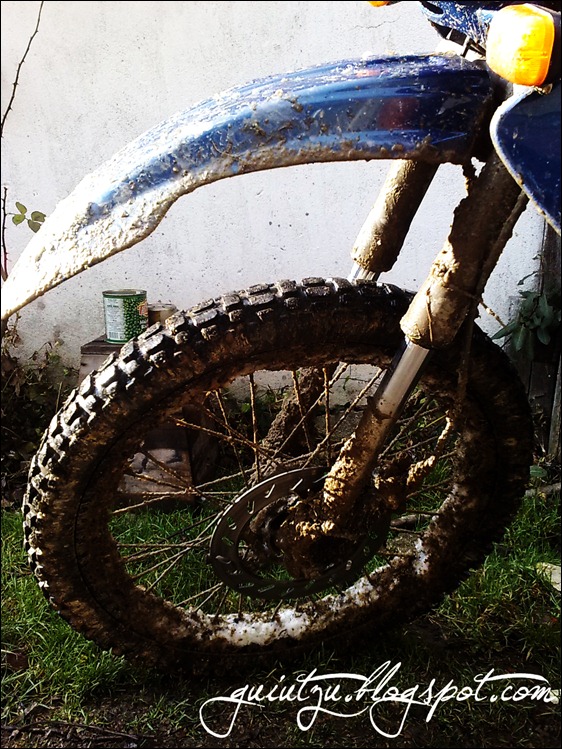 enduro pe noroi padure