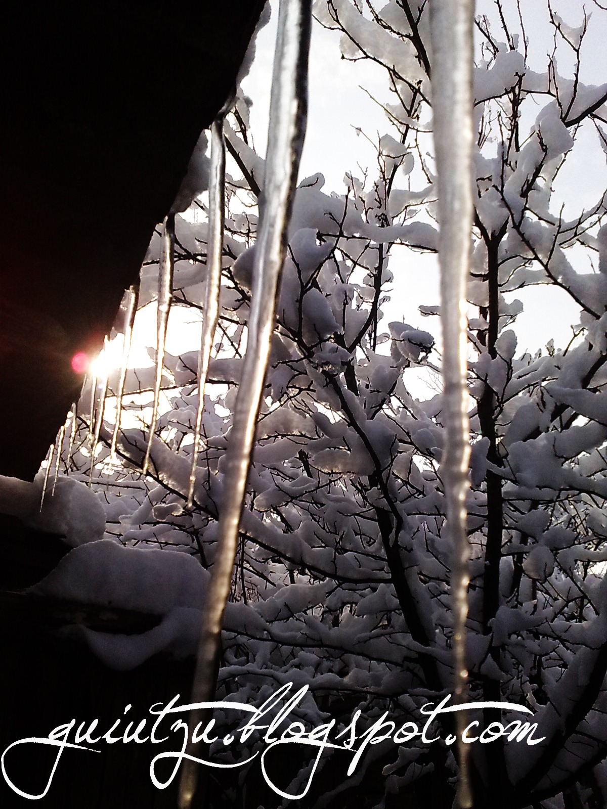 [peisaje de iarna wallpaper arad[7].jpg]