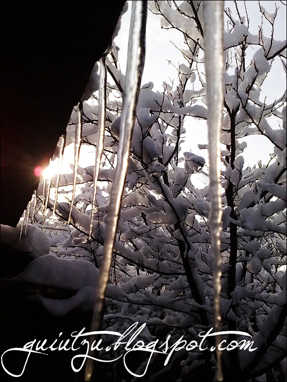 peisaje de iarna wallpaper