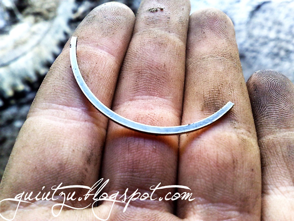 [segmenti rupti in motor[5].jpg]