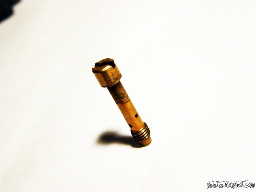 [jigler dellorto[5].jpg]