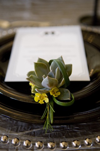 [DianaDaley©2010_0085[3].jpg]