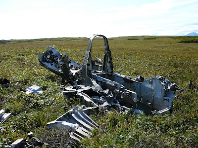 Никтон езабыт