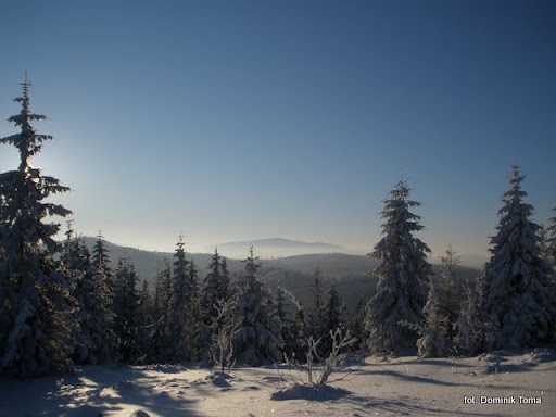 http://lh4.ggpht.com/_A22hZot4HrQ/TUQnjg-xPHI/AAAAAAAAEf4/ZdszYl4g6ZA/praciaki%2C%20czarny%20gro%C5%84%2C%20zakocierska%2C%20%C5%82amana%20ska%C5%82a%2C%20komonieckiego%2C%20praciaki%20089.jpg