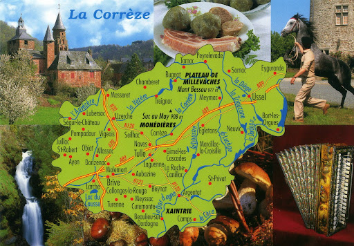 limousin