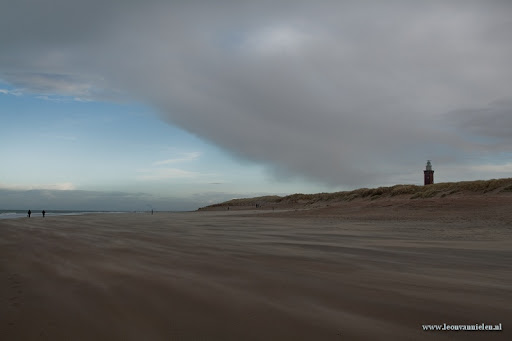 Fotografie