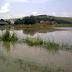 Image0990.jpg