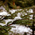 Zapada in Poiana Brasov-8.jpg