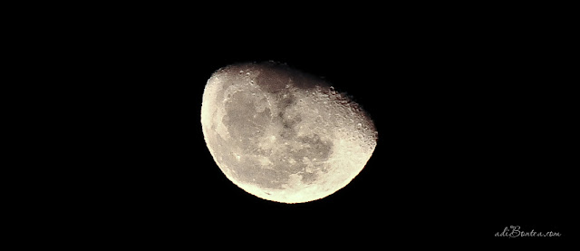 Luna de Craciun