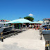 DSC_5436.JPG