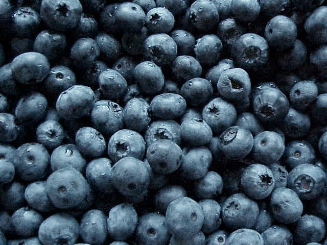 [blueberries[3].jpg]