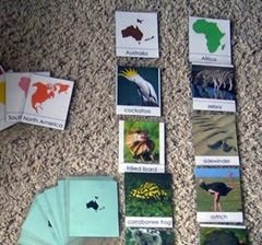 animacards