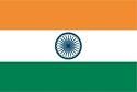 india india