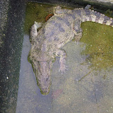 langkawi birthday 2 121.JPG