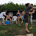 Sommerliga 2010