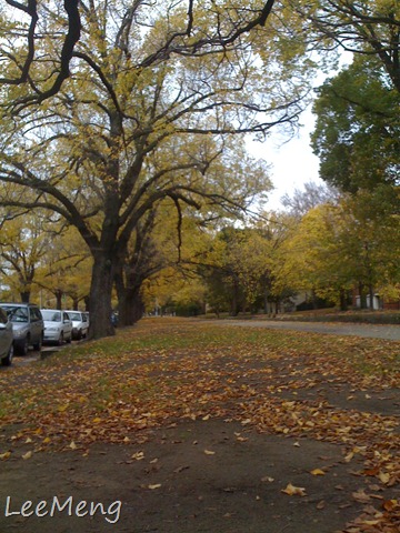 [IMG_16242.jpg]