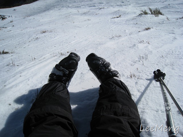 [IMG_17602.jpg]