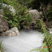 DSC00798.jpg