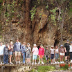 DSC00796.jpg
