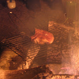 IMG_8176.JPG