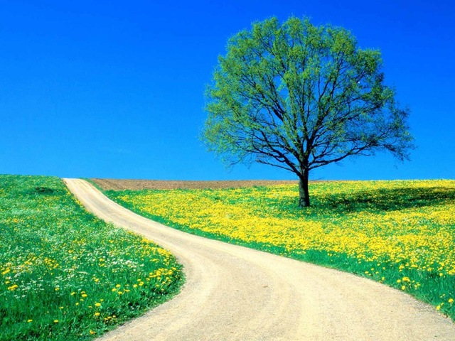 [Estrada_primavera[4].jpg]