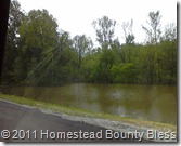 2011 Flood Rt 13 E towards Cdale