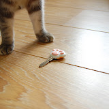 key