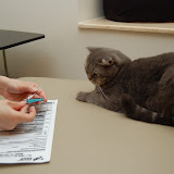nail-cutting