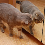 in the mirror