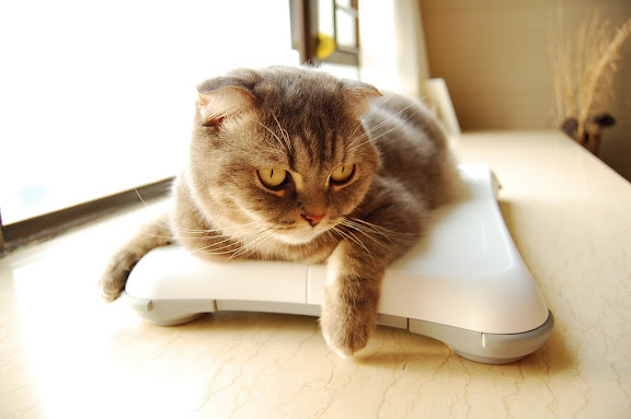 媽媽, 我要玩 wii fit 呀!